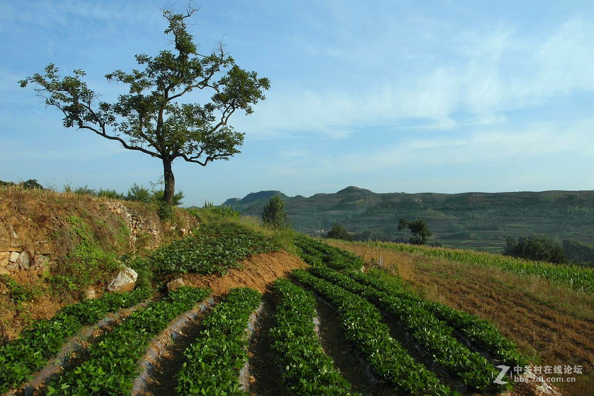 『记录田园』123...11p