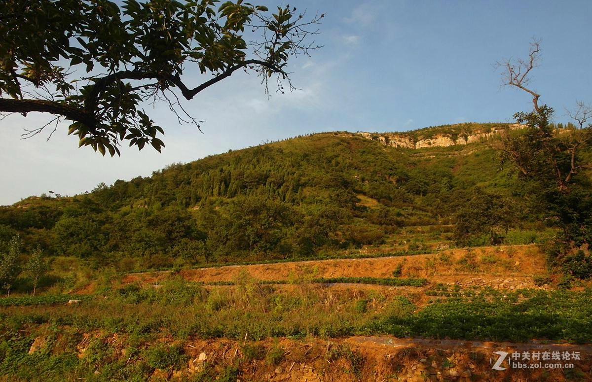 『记录田园』123...11p