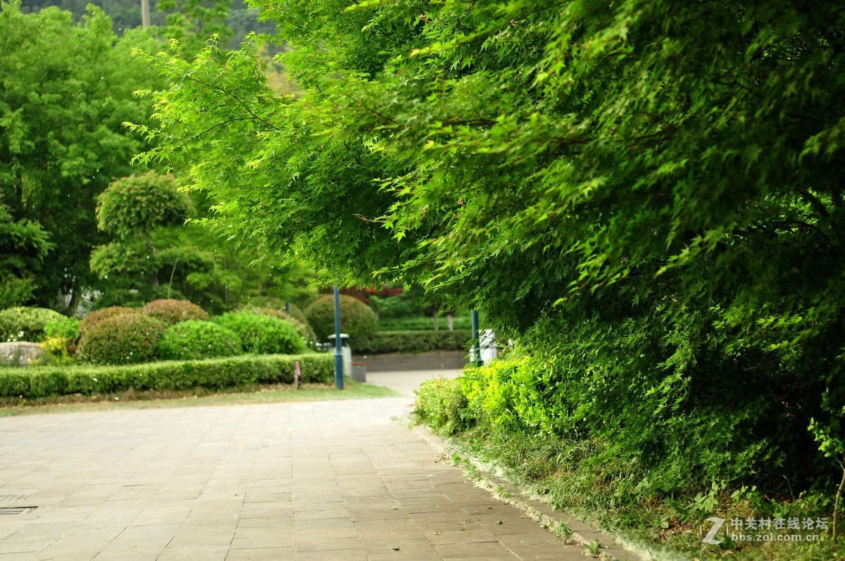 女儿生日，恰逢母亲节，公园随拍