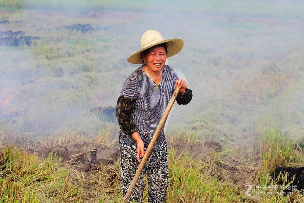 田间劳作朴实的妇女