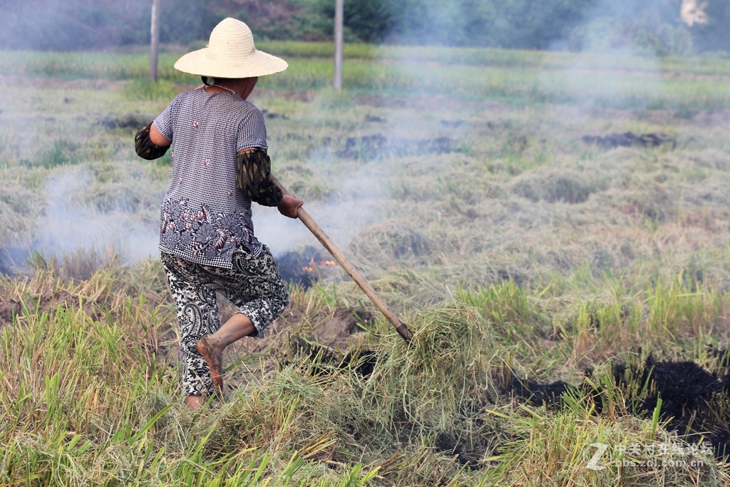 田间劳作朴实的妇女