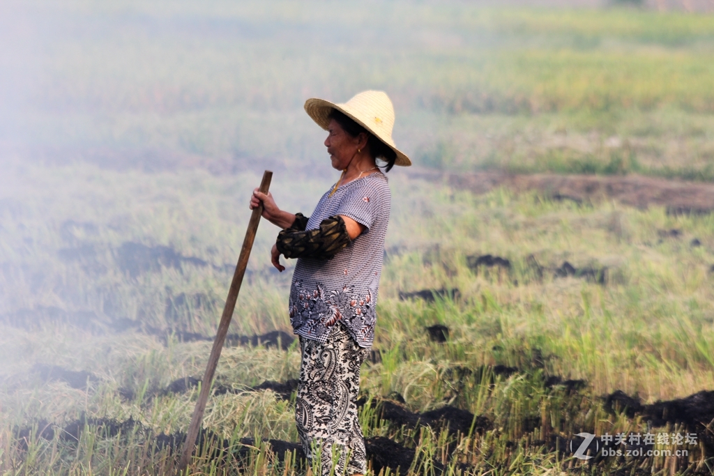 田间劳作朴实的妇女