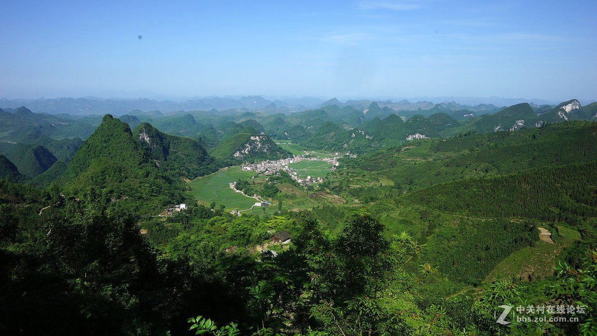 今日杂拍、风景、老人、小猫。