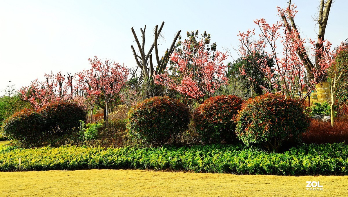 南湖公园随拍《4》