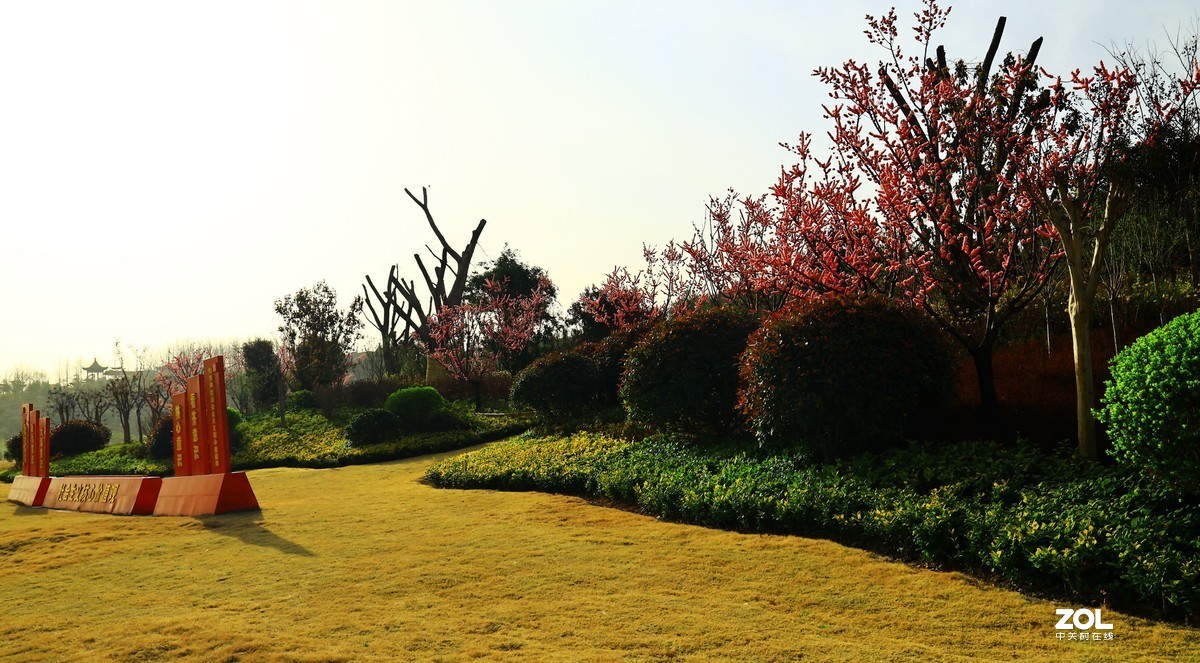 南湖公园随拍《4》