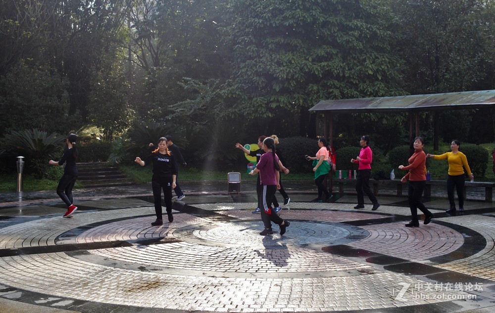 卡尔·蔡司Distagon T* 35mm f/1.4 ZE