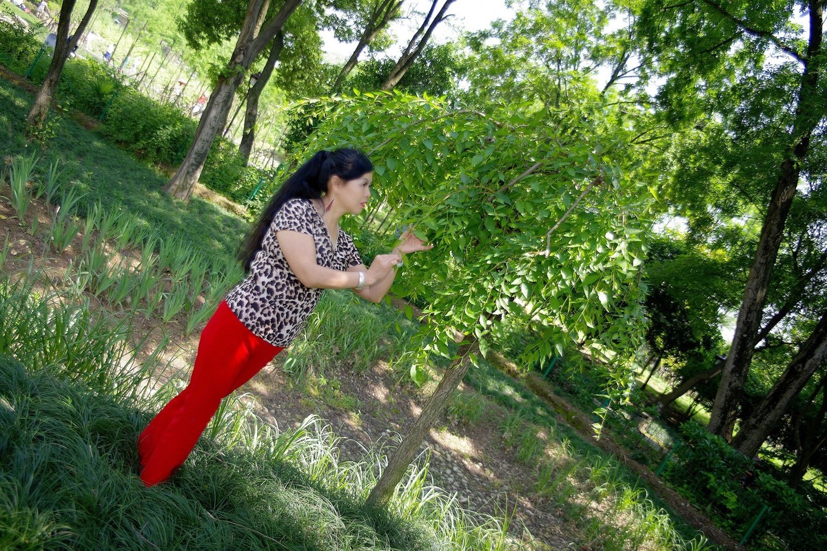 环境人像外拍---绿叶中的”伤心玫瑰“美女！。。。。。。