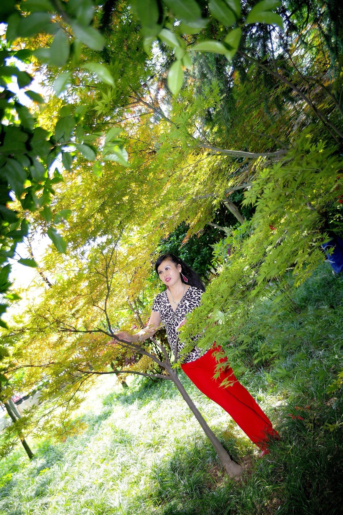 环境人像外拍---绿叶中的”伤心玫瑰“美女！。。。。。。