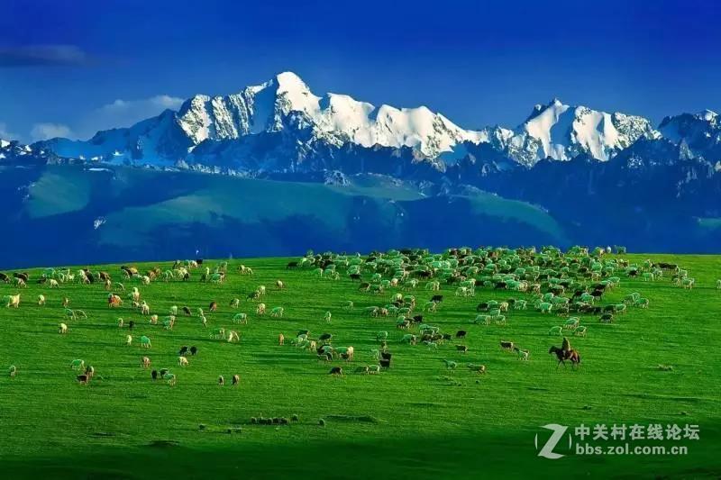 蜂摄天下-新疆人体草原、赛里木湖、巴音布鲁克、霍城熏衣草、独山子大峡谷，9日摄影