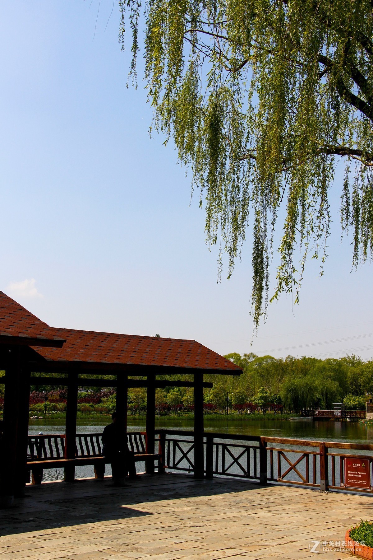 #正是一年最美时# 春光明媚公园美