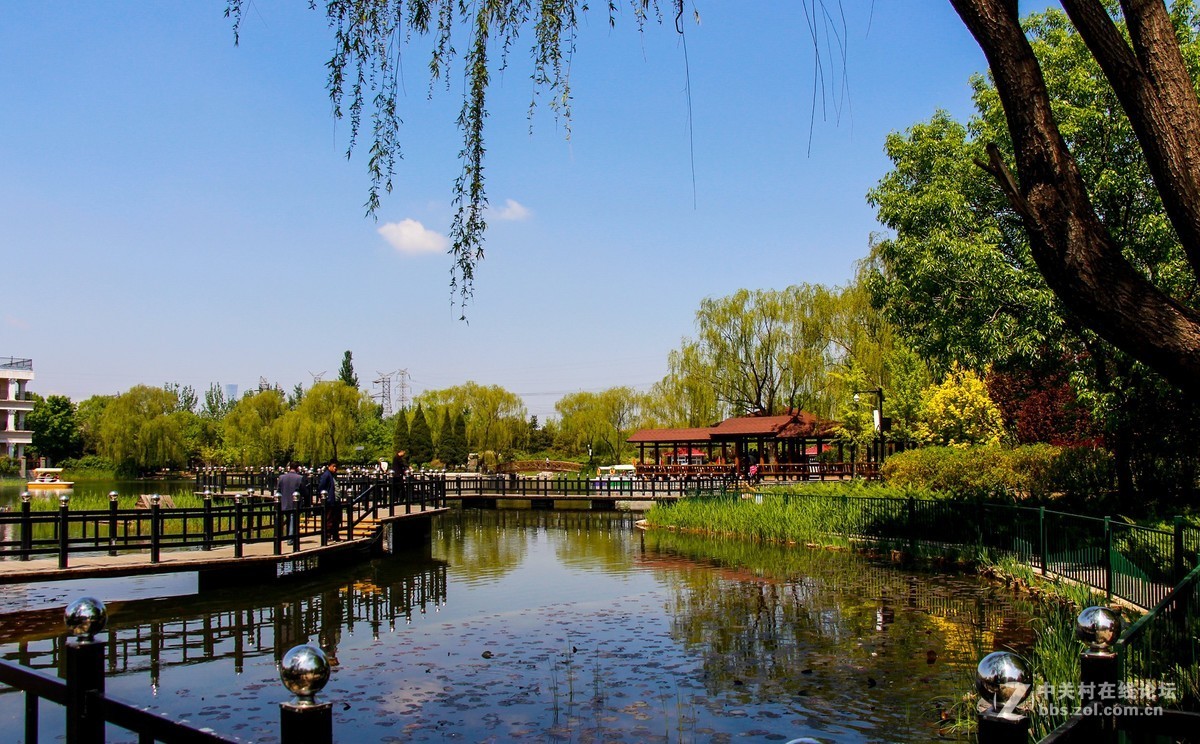 #正是一年最美时# 春光明媚公园美