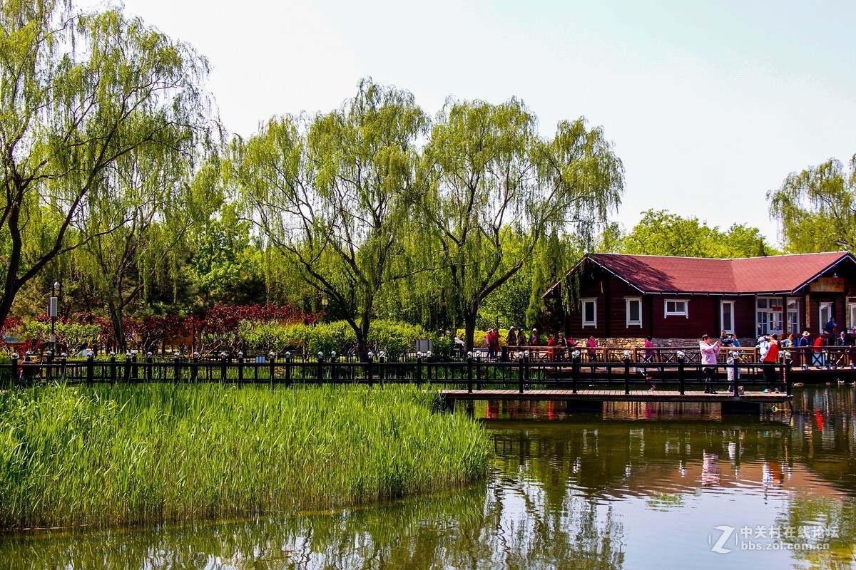 #正是一年最美时# 春光明媚公园美