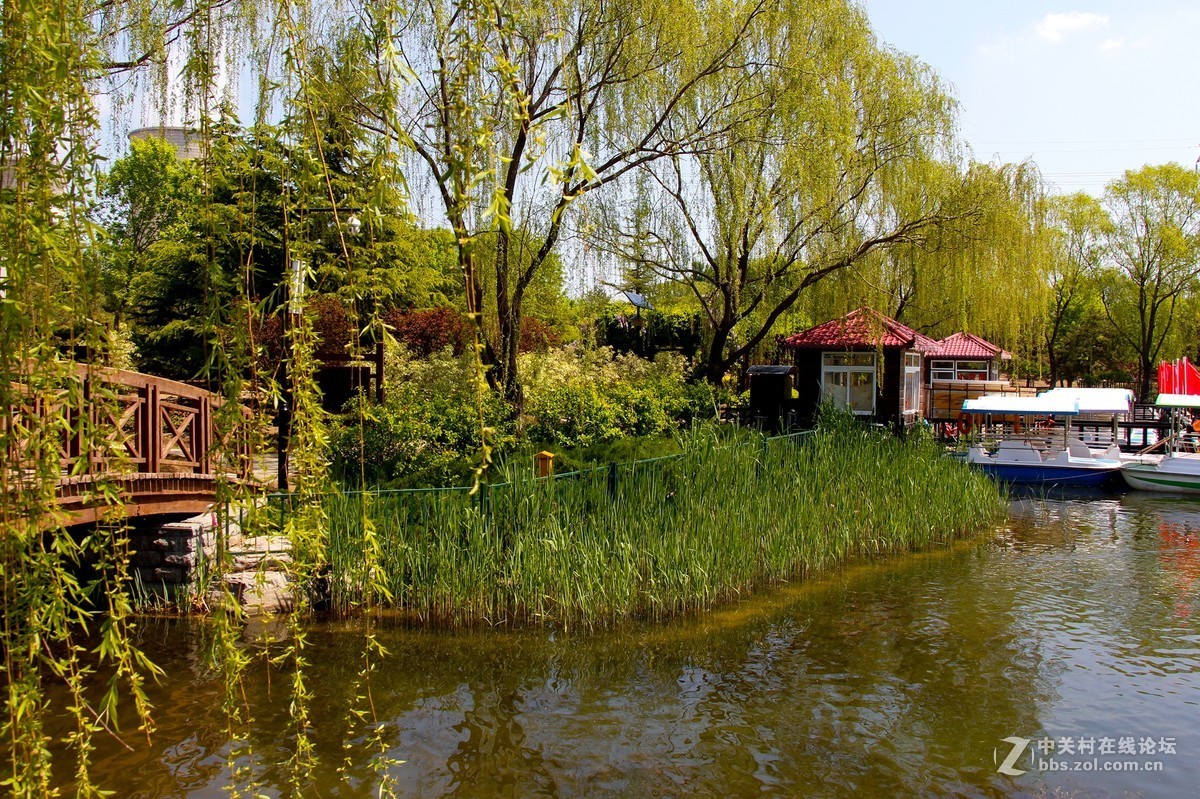 #正是一年最美时# 春光明媚公园美