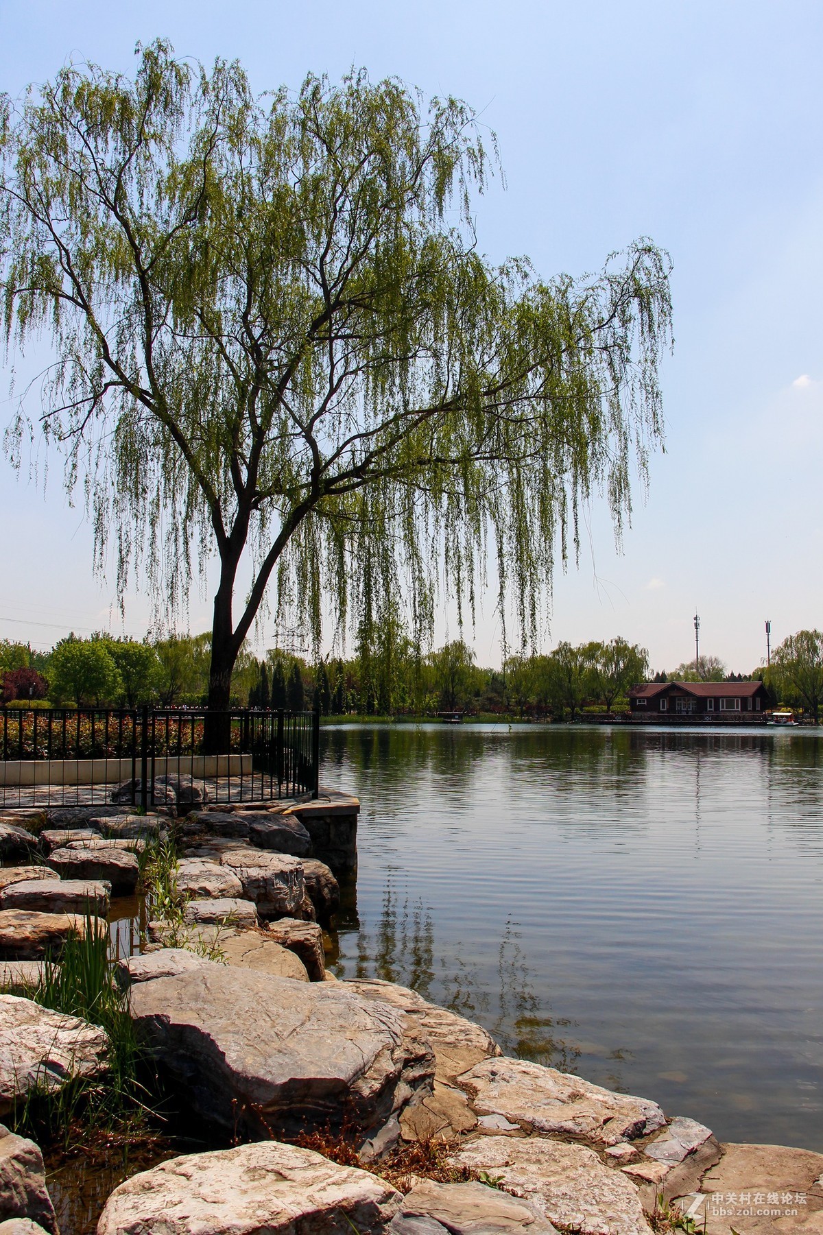 #正是一年最美时# 春光明媚公园美