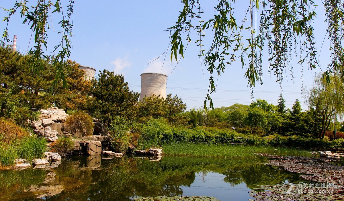 #正是一年最美时# 春光明媚公园美