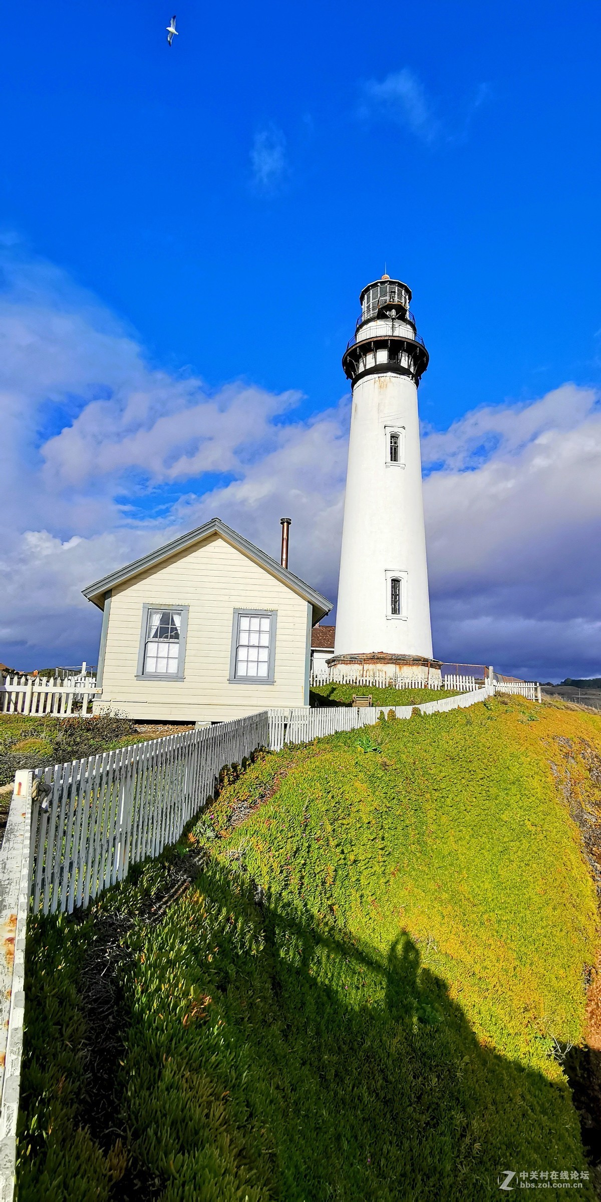 鸽子灯塔pigeonpointlighthouse