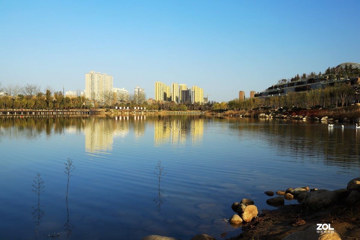 南湖公园随拍《4》