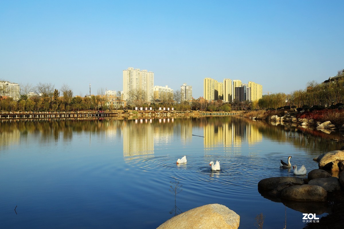 南湖公园随拍《4》