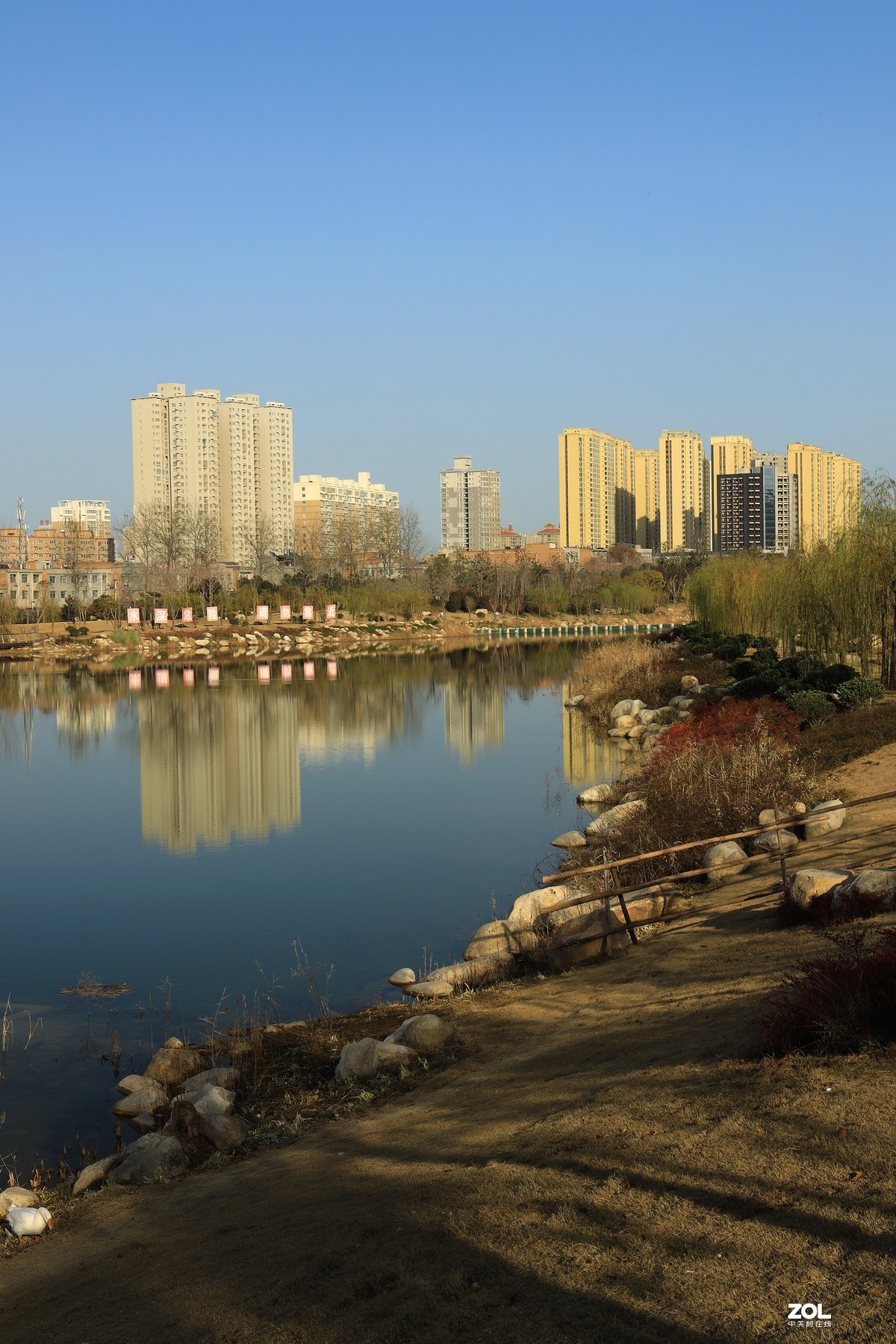 南湖公园随拍《4》