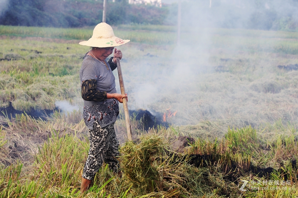 田间劳作朴实的妇女