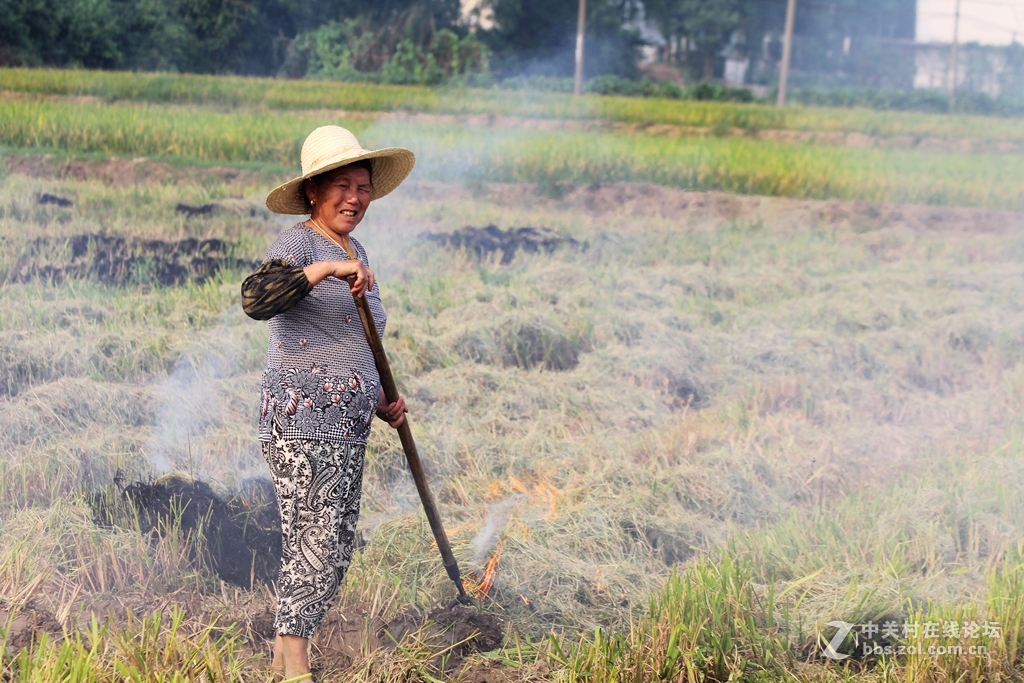 田间劳作朴实的妇女