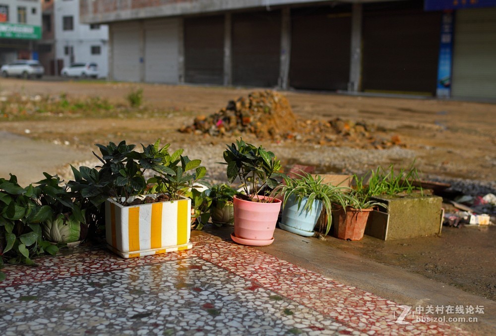 卡尔·蔡司Distagon T* 35mm f/1.4 ZE