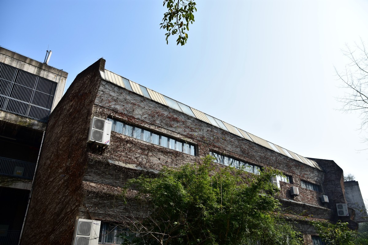 川美漫游2019.03.10