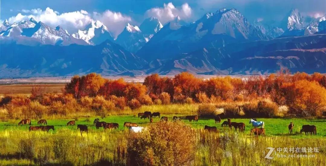 蜂摄天下-新疆人体草原、赛里木湖、巴音布鲁克、霍城熏衣草、独山子大峡谷，9日摄影