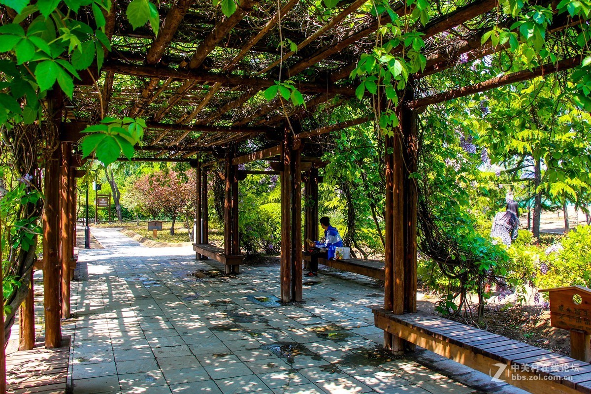 #正是一年最美时# 春光明媚公园美