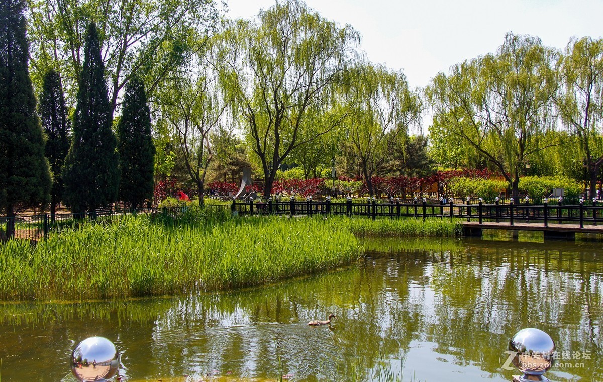 #正是一年最美时# 春光明媚公园美