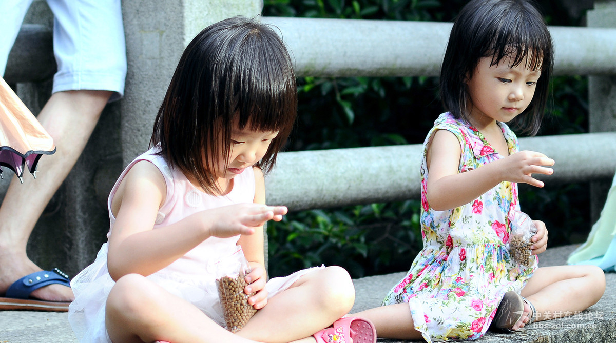 小生活  拍摄于中山名树园