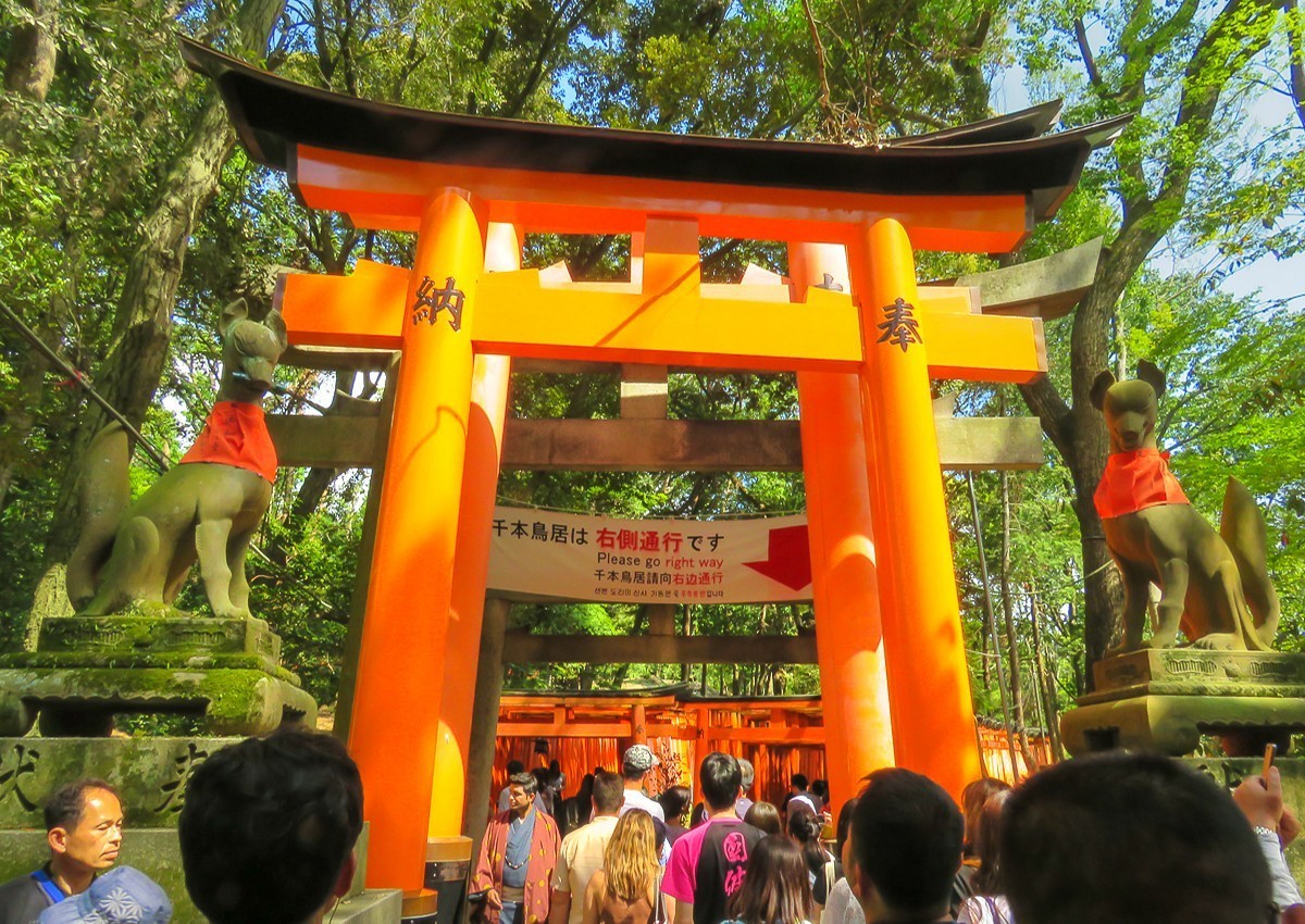 2019-08-26日本京都伏见稻荷神社的狐狸-中关村在线摄影论坛