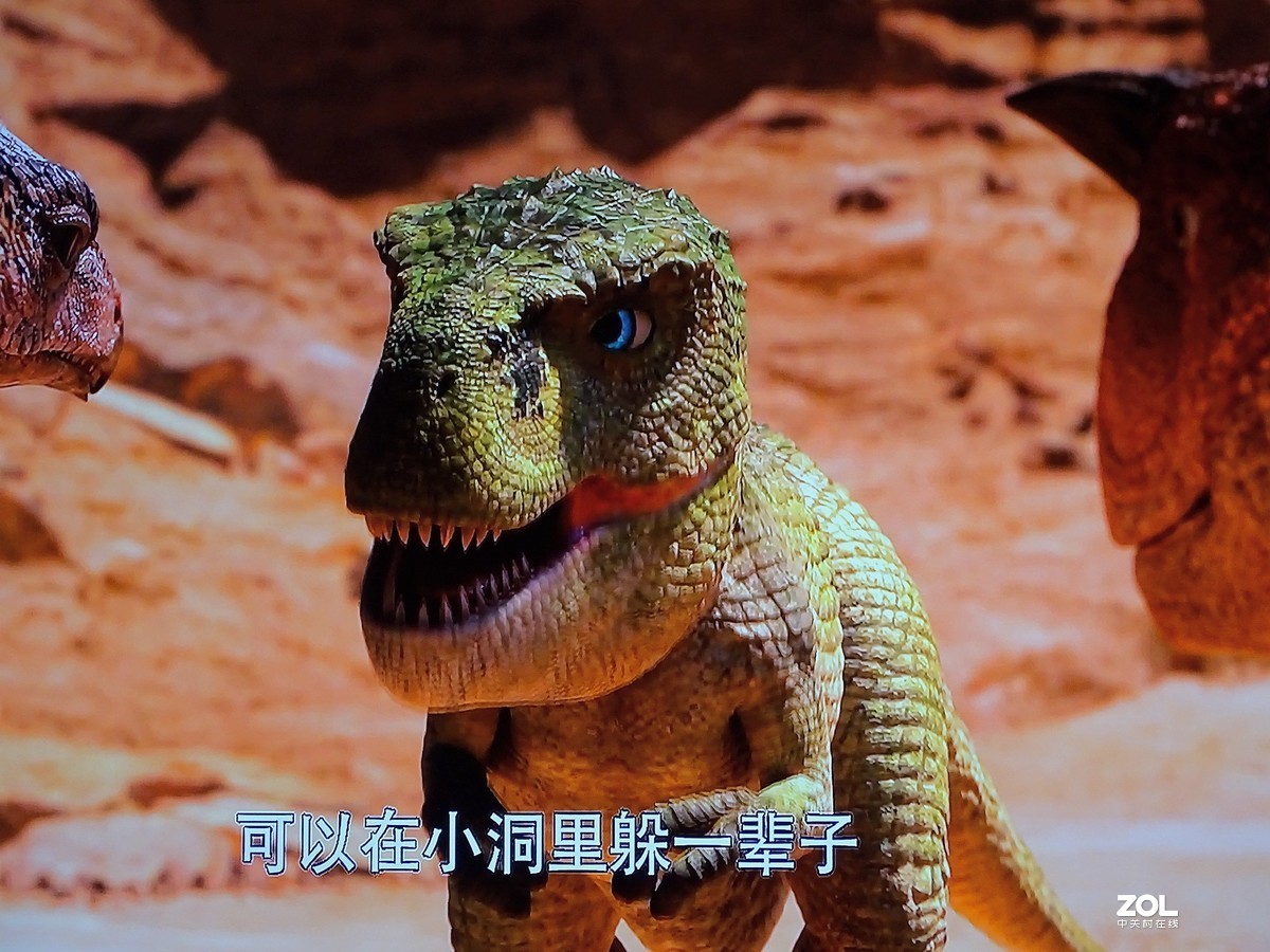 手持拍电视屏幕（恐龙王）3