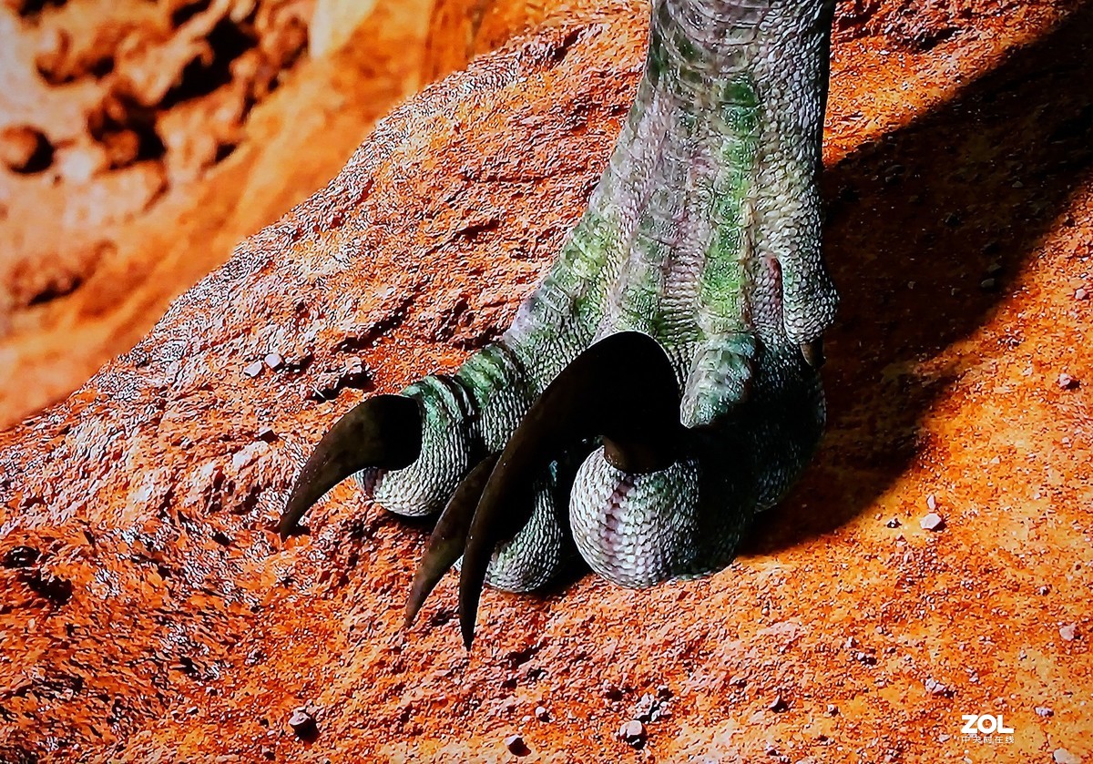 手持拍电视屏幕（恐龙王）3