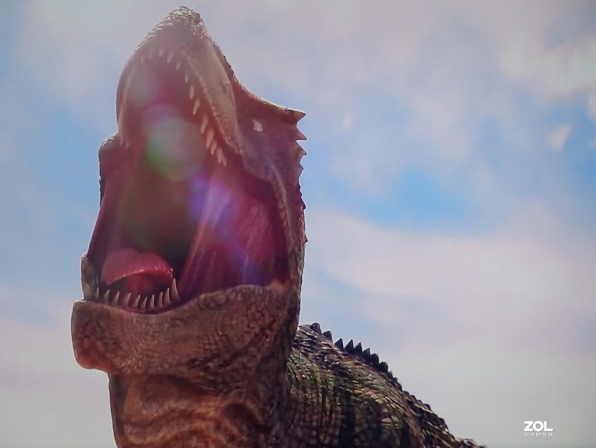 手持拍电视屏幕（恐龙王）3