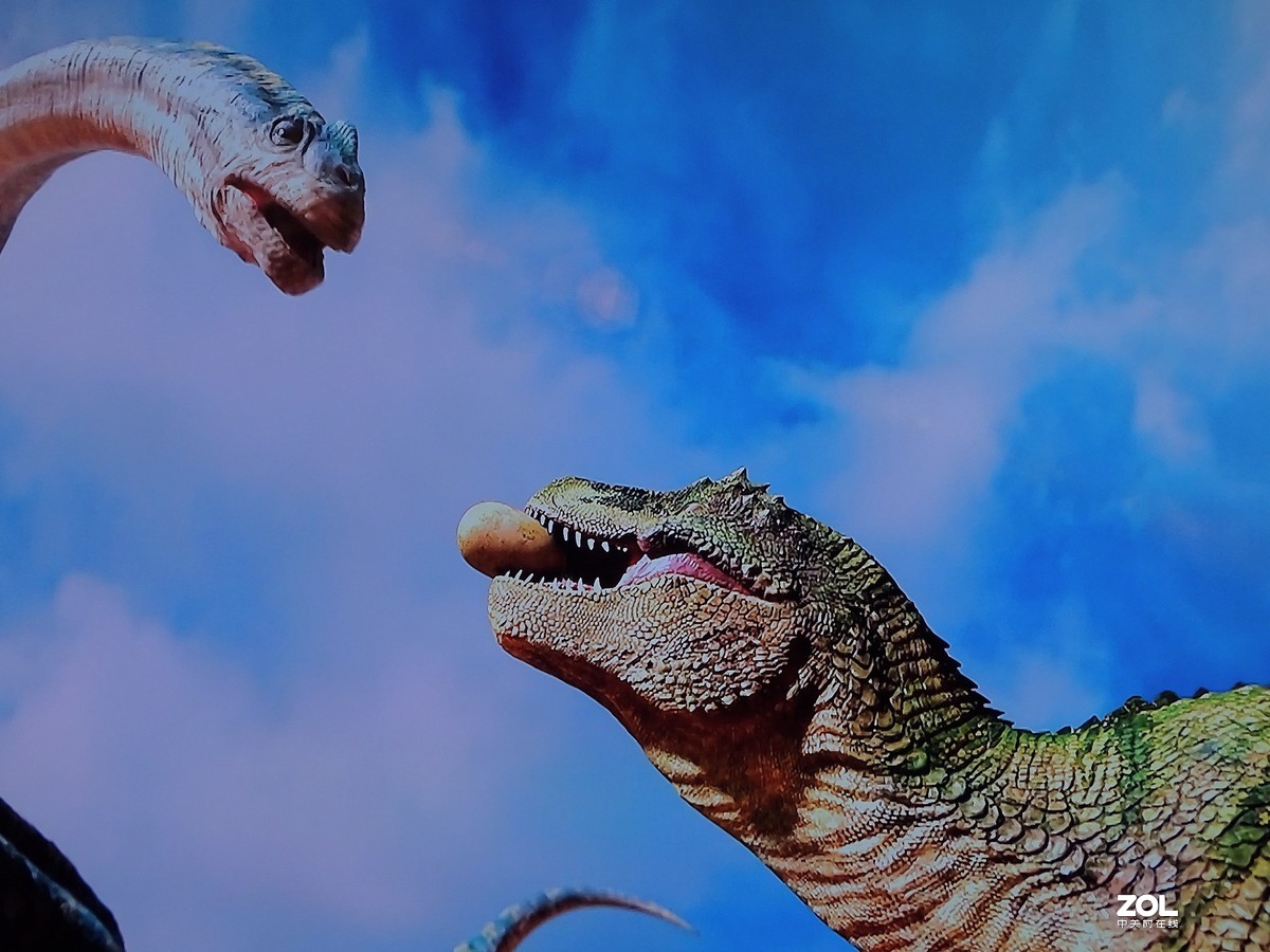 手持拍电视屏幕（恐龙王）3