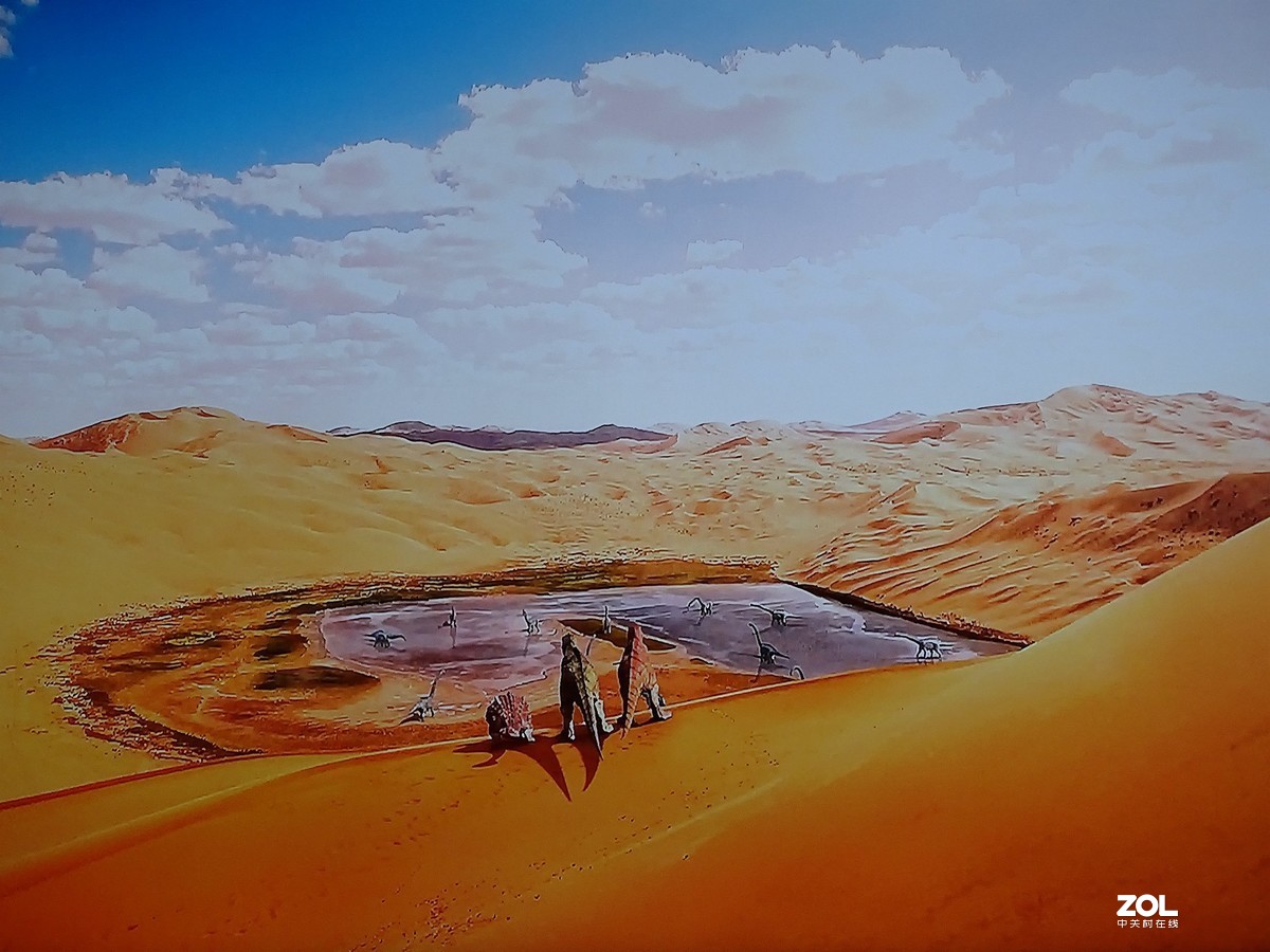 手持拍电视屏幕（恐龙王）3