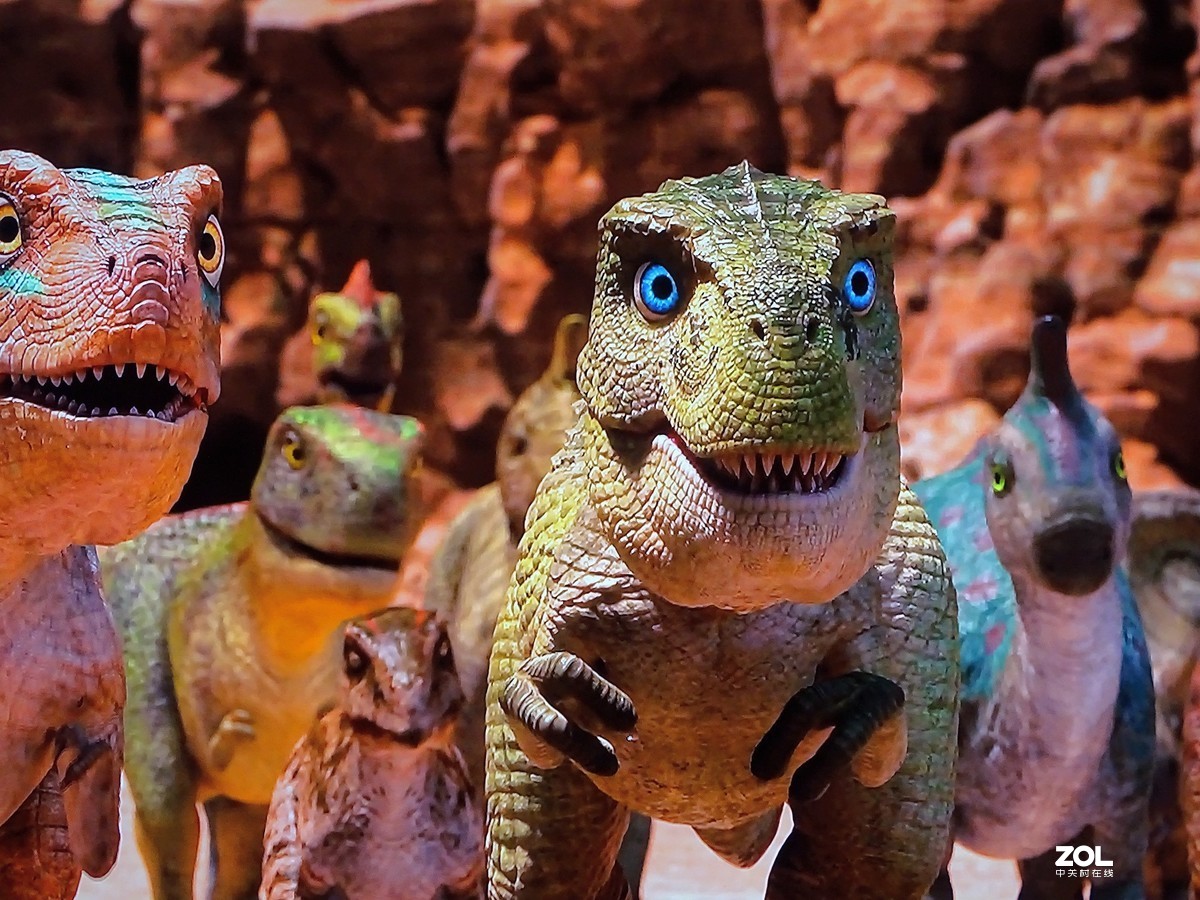 手持拍电视屏幕（恐龙王）3