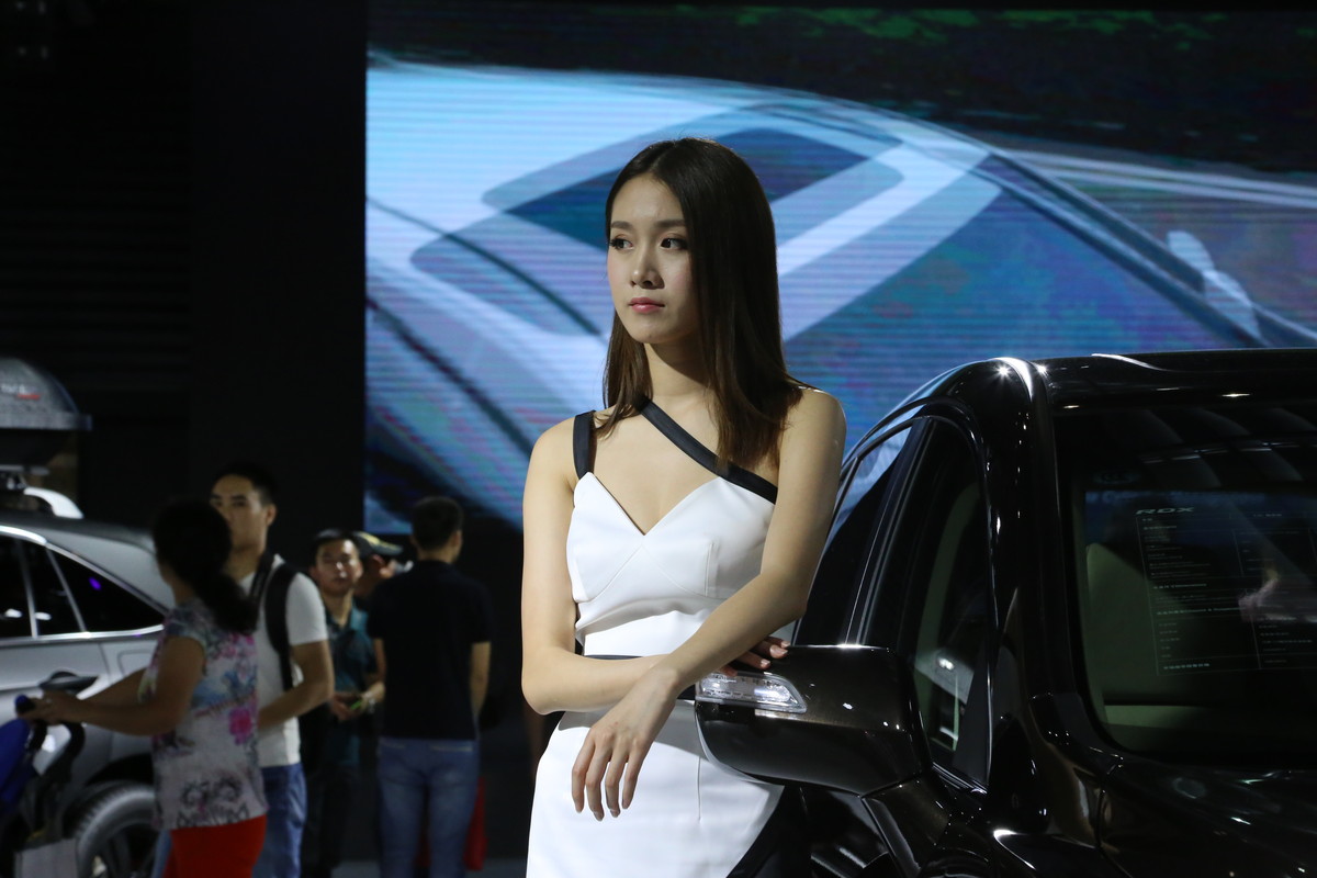 2015第十九届深港澳国际车展之讴歌车模