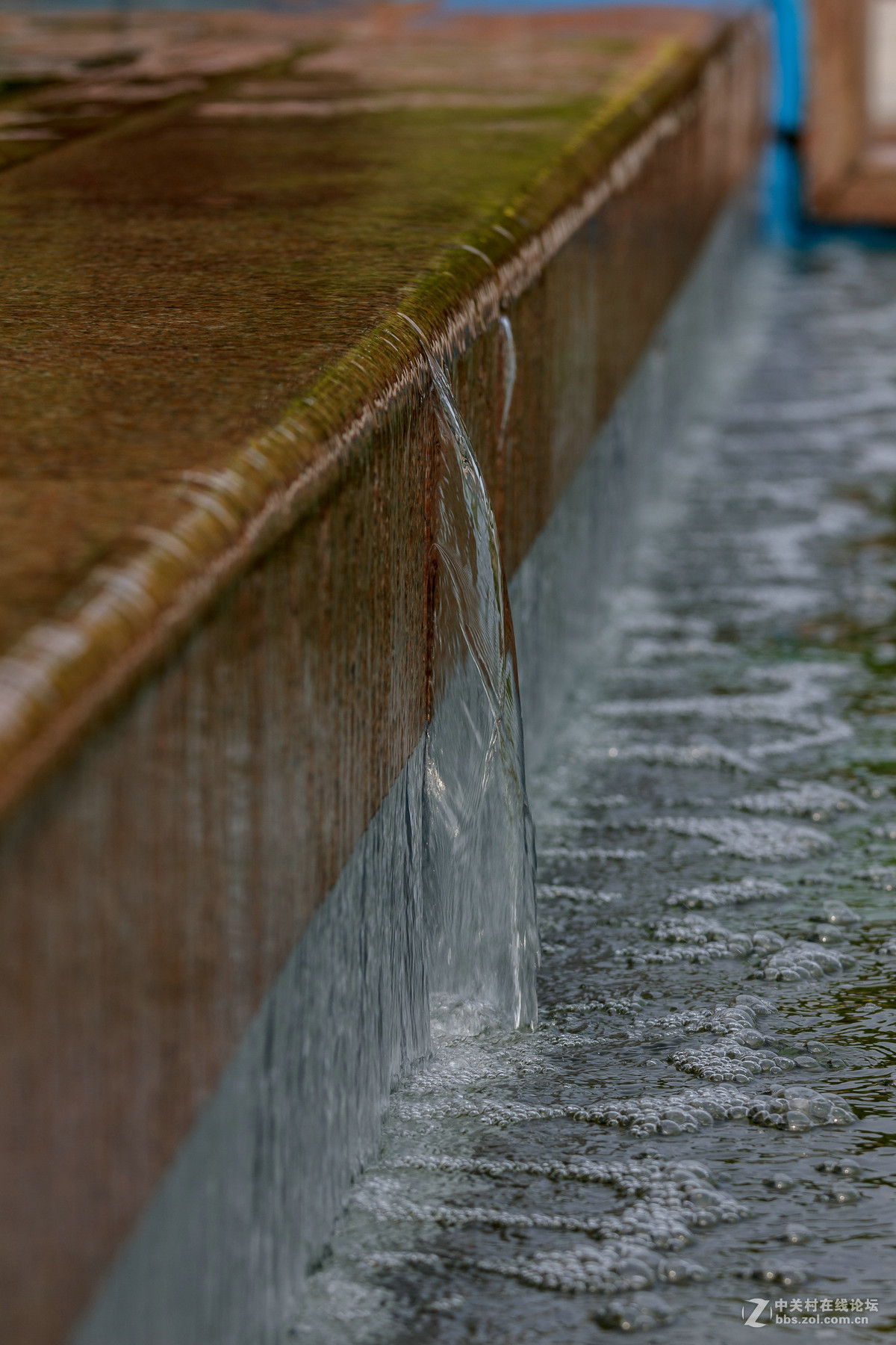 为提高照片清晰度练习一组高速快门花卉请前辈指点