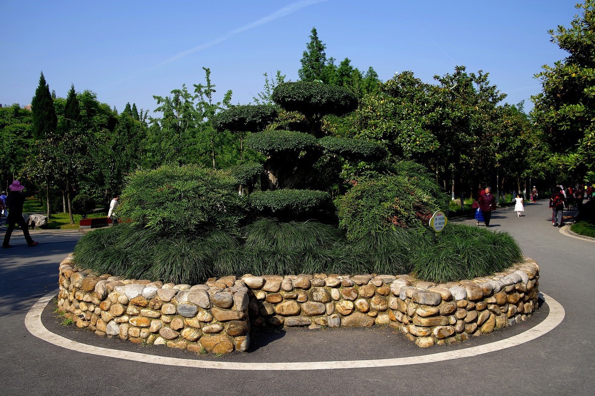 武汉印象---和平公园月季展随拍！。。。。。