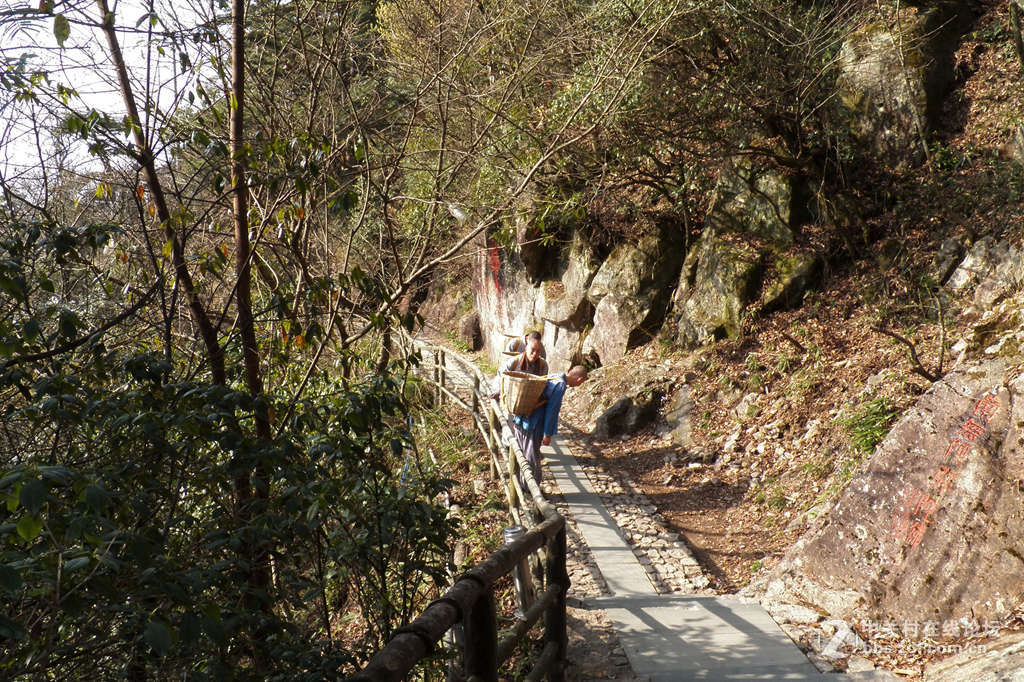 东天目山修行背山