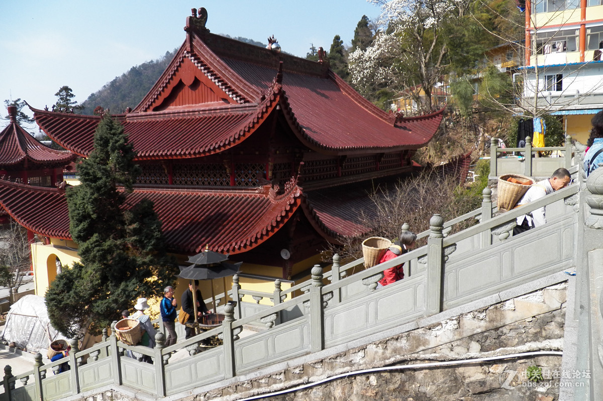 東天目山修行背山