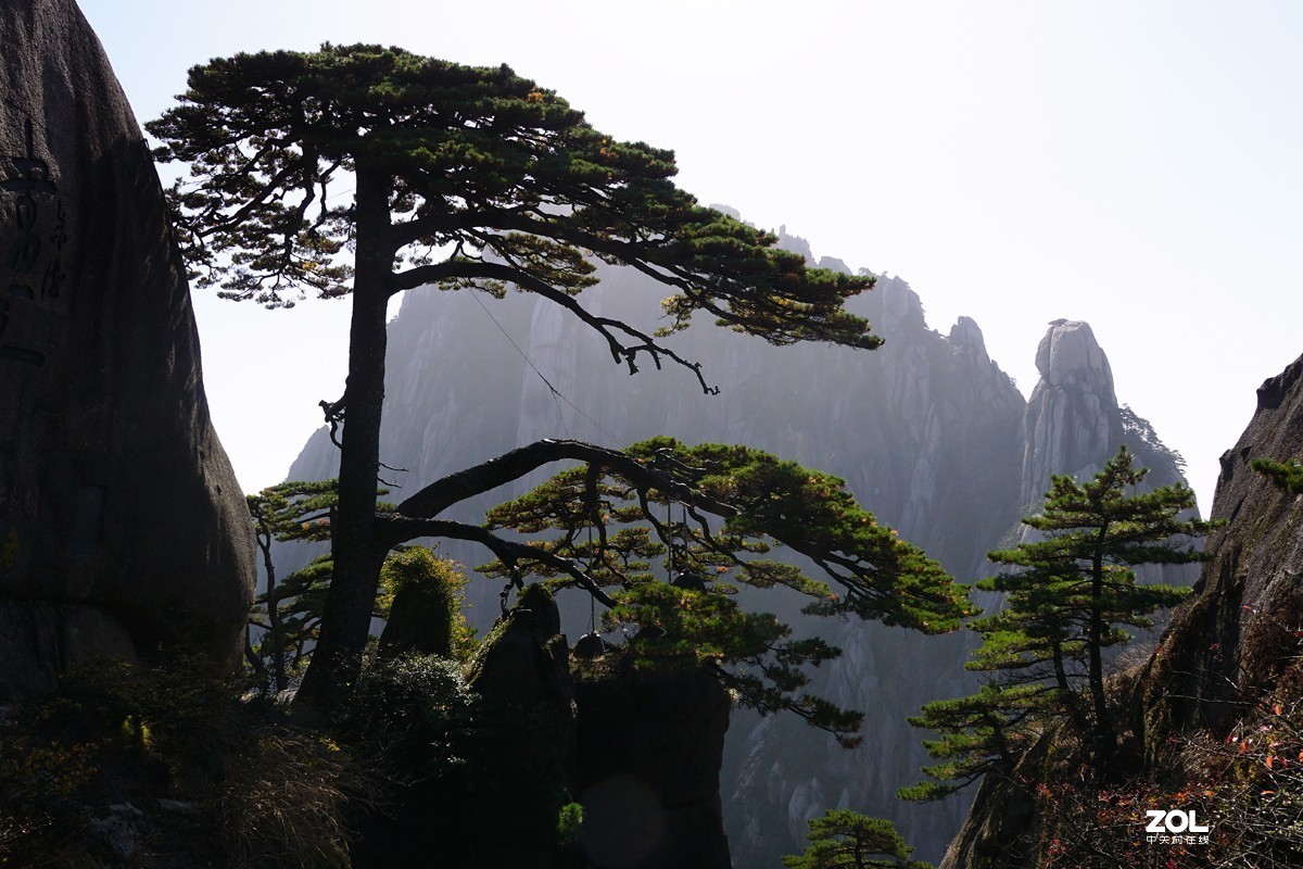 黃山走馬觀畫迎客松及周邊景色