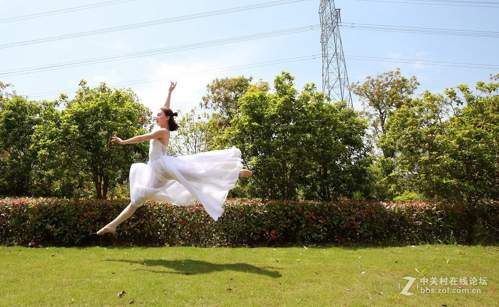 蔷薇花下的舞之美