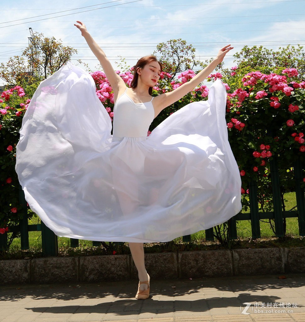 蔷薇花下的舞之美