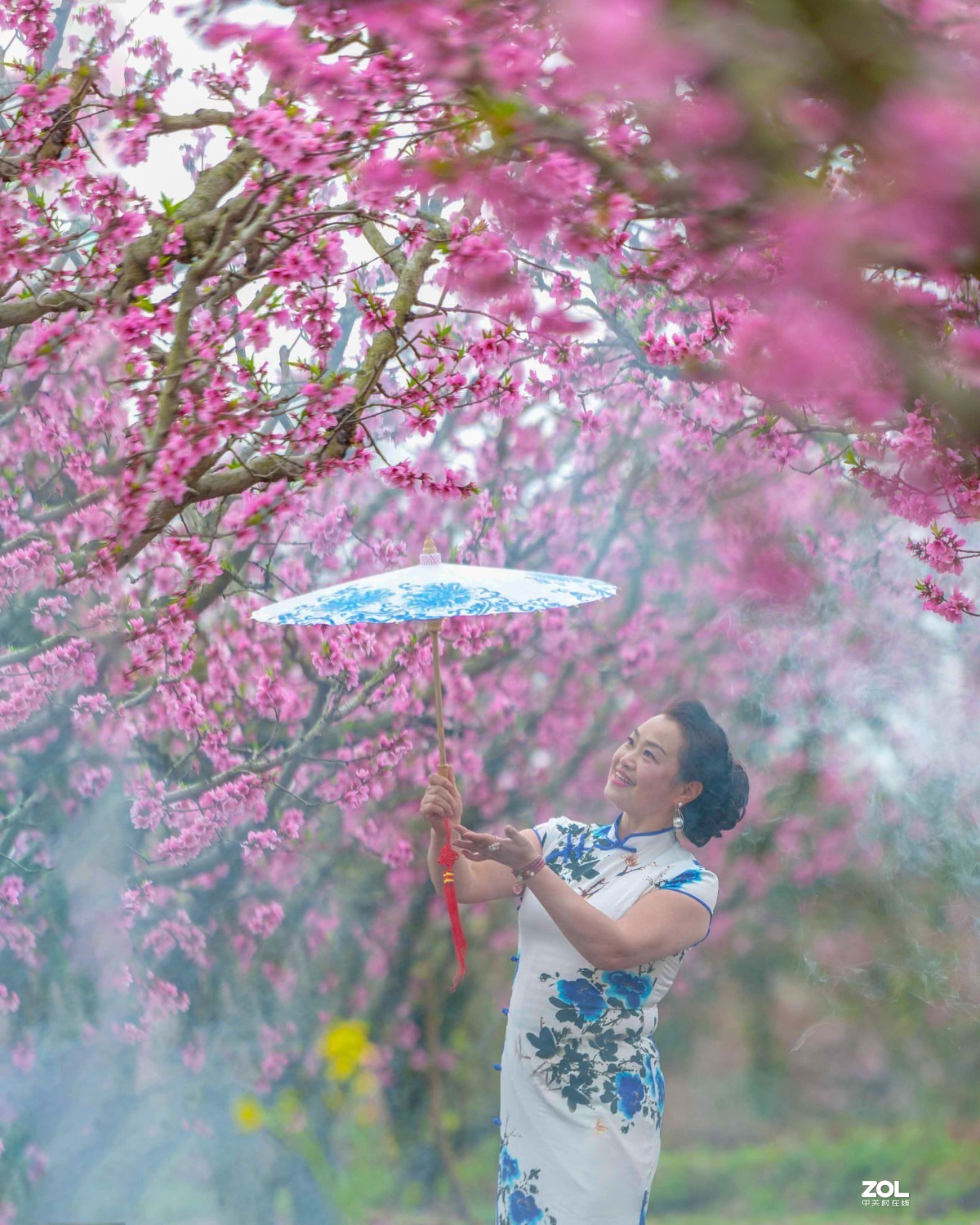 浓雾桃花源中旗袍美女
