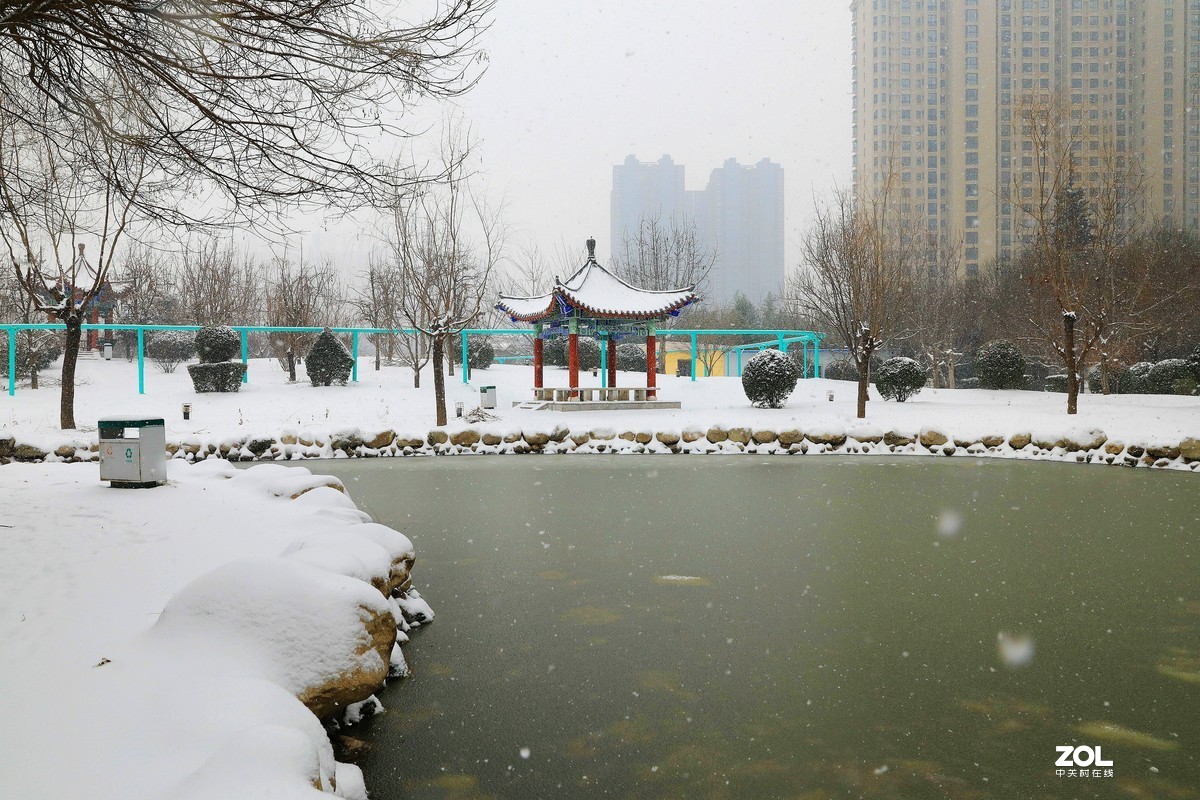 雪中拍景《5》