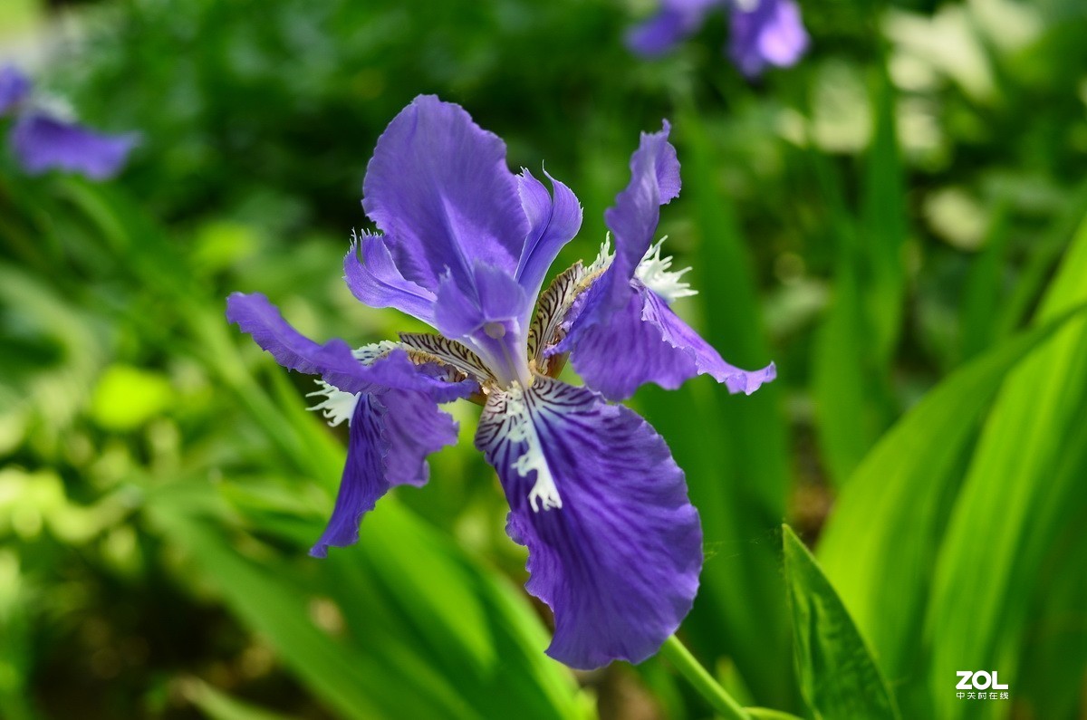 永诺35mm F2 镜头  体练随拍