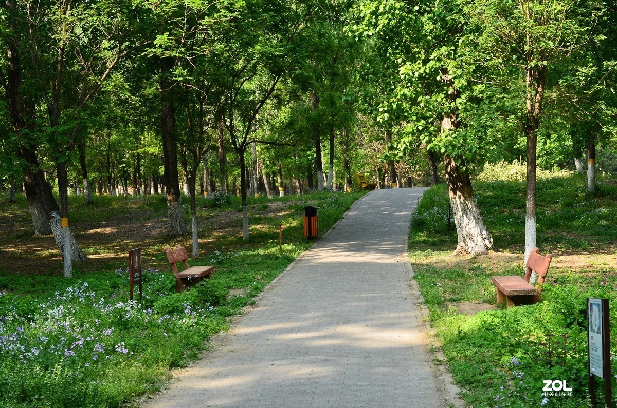 永诺35mm F2 镜头  体练随拍